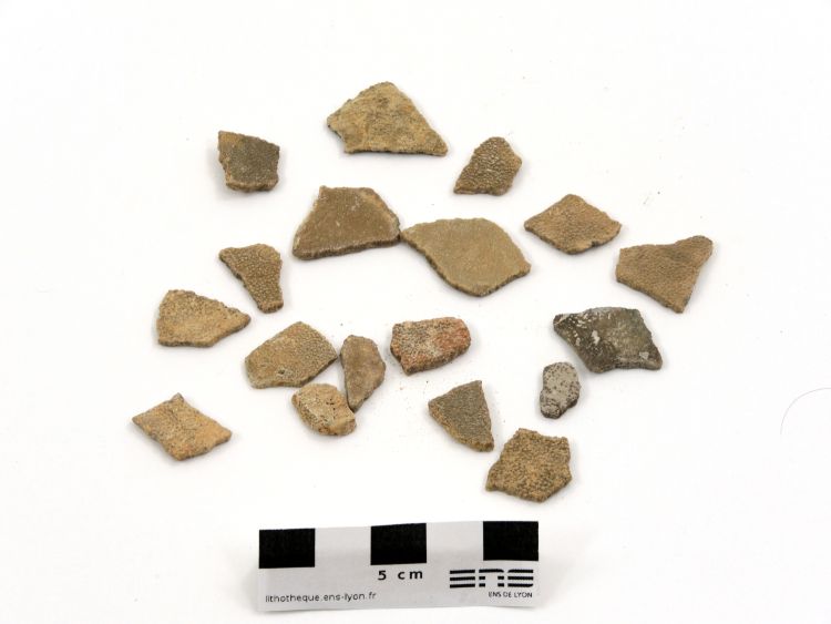 Fragments de coquilles d’œufs de dinosaure Fragments de coquilles d’œufs de dinosaure Provence  Barjols 